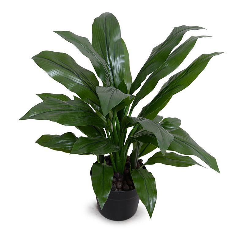 Wholesale Artificial Dracaena Plant in Round Pot Indoor 22 Inches Tall - New Growth Designs