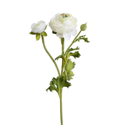 Ranunculus Spray - White - New Growth Designs
