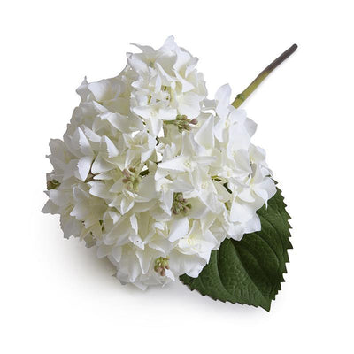 Hydrangea Bud Stem, 20" L - White - New Growth Designs