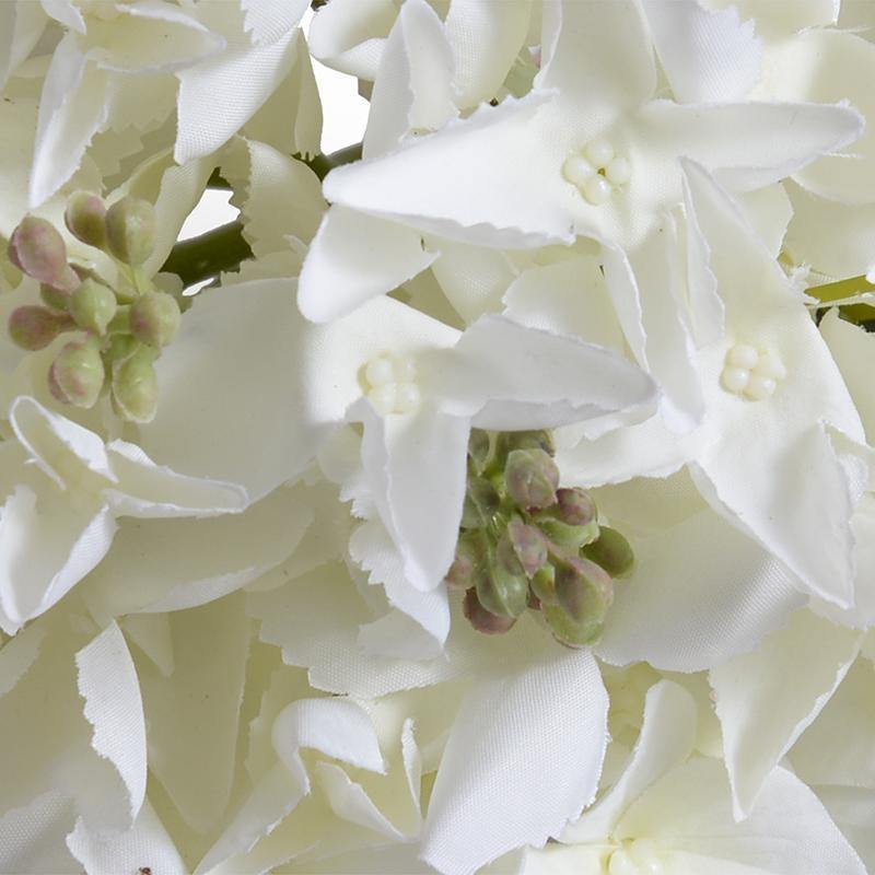 Hydrangea Bud Stem, 20" L - White - New Growth Designs