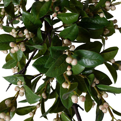 Holly Branch with White Berries, 47" L - New Growth Designs