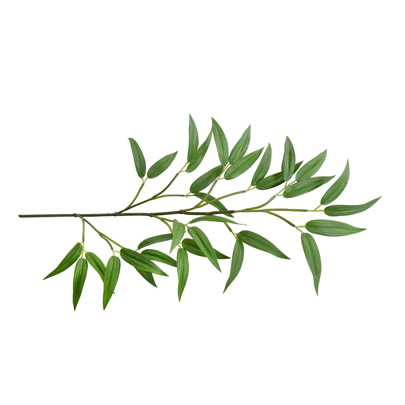 Bamboo Leaf Spray, 22" Length