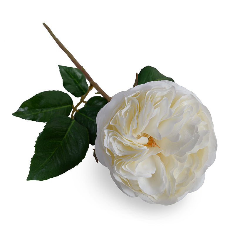 Rose single flower stem, 20"L - White