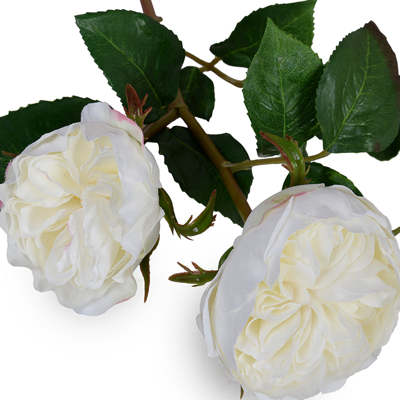 Rose double flower stem, 20"L - White