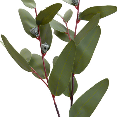 Eucalyptus seeded greenery spray, 28"L