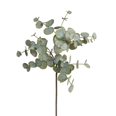 Eucalyptus leaf spray, 34"L