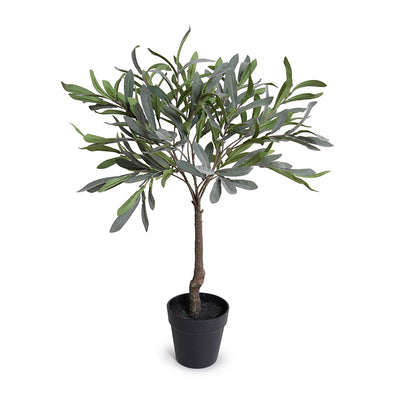 Olive Leaf Topiary, 28"H