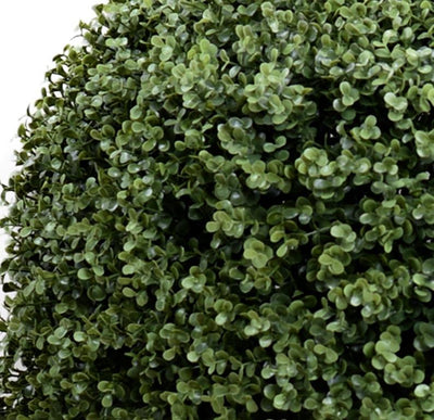 Boxwood Double Ball Topiary - New Growth Designs