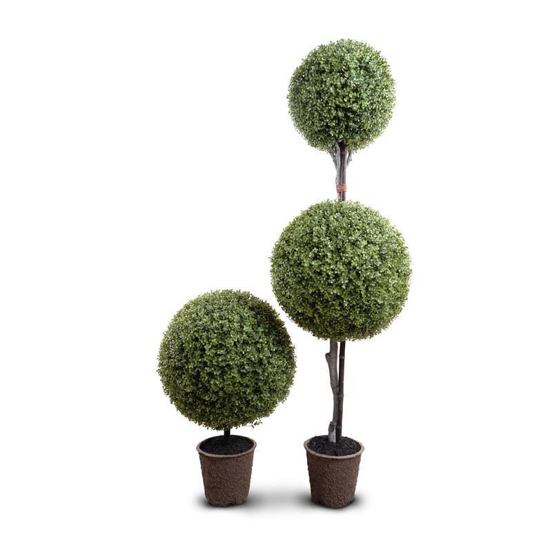 Boxwood Ball Custom-made Topiary - New Growth Designs