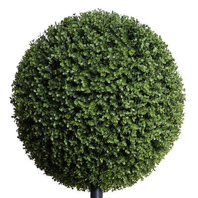 Boxwood Ball Custom Topiary