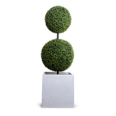 Boxwood Ball Custom Topiary